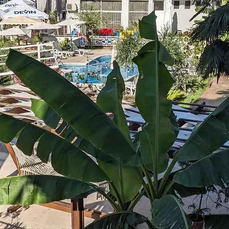 Lejlighed White Sands Beachfront Getaway In Aurelia - Sea View & Direct Access *